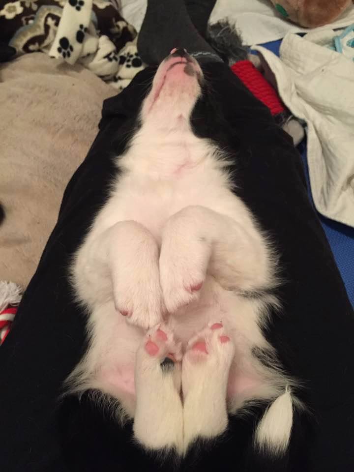 baby-rhys-2-jan-2017