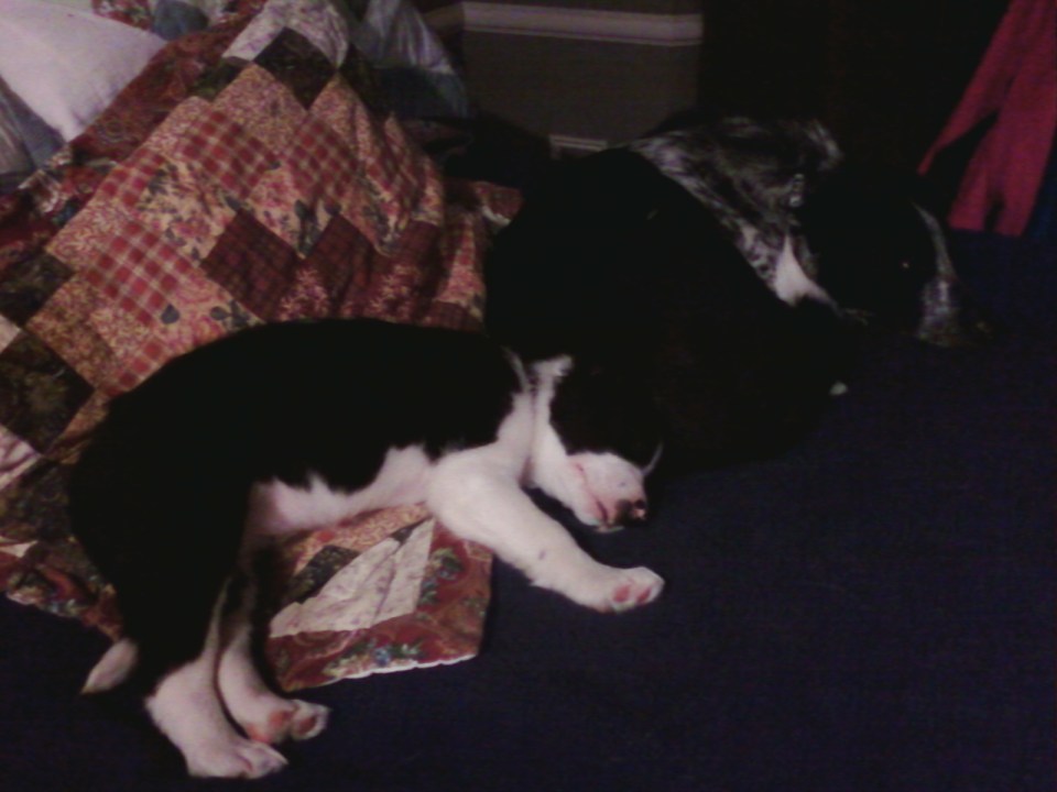 rhys-and-youke-day-1