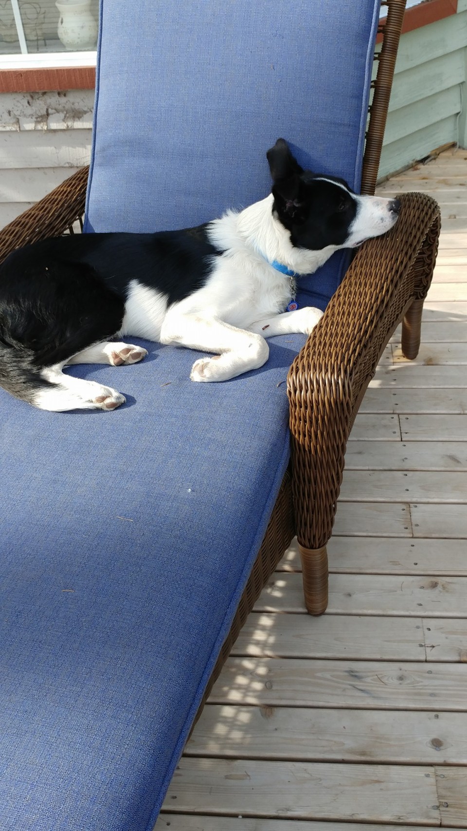 18920764_10209025251888035_7708802807401416822_o