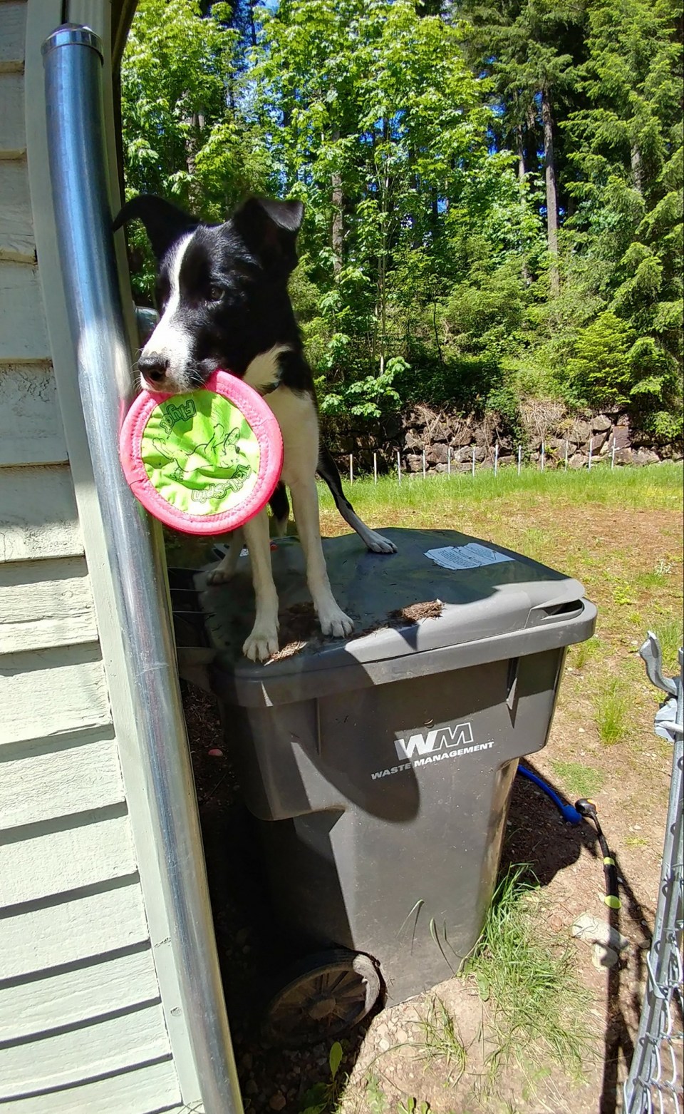 19054993_10209073924904830_1845583845172475018_o