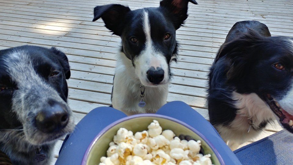 19488883_10209237454392965_8649723611307945789_o