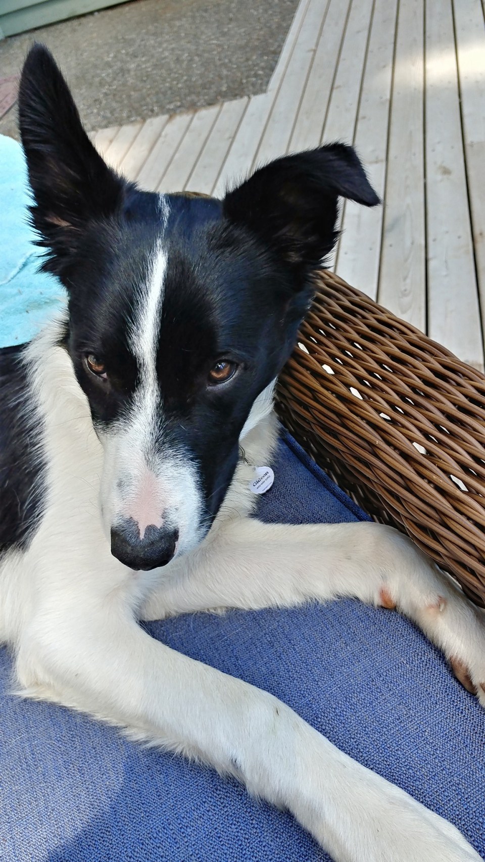 19577056_10209246051127878_5869796152173472187_o