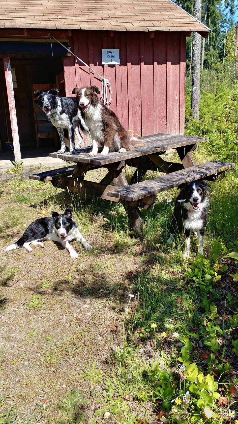 19956758_10209331513664388_3889832019675584838_o