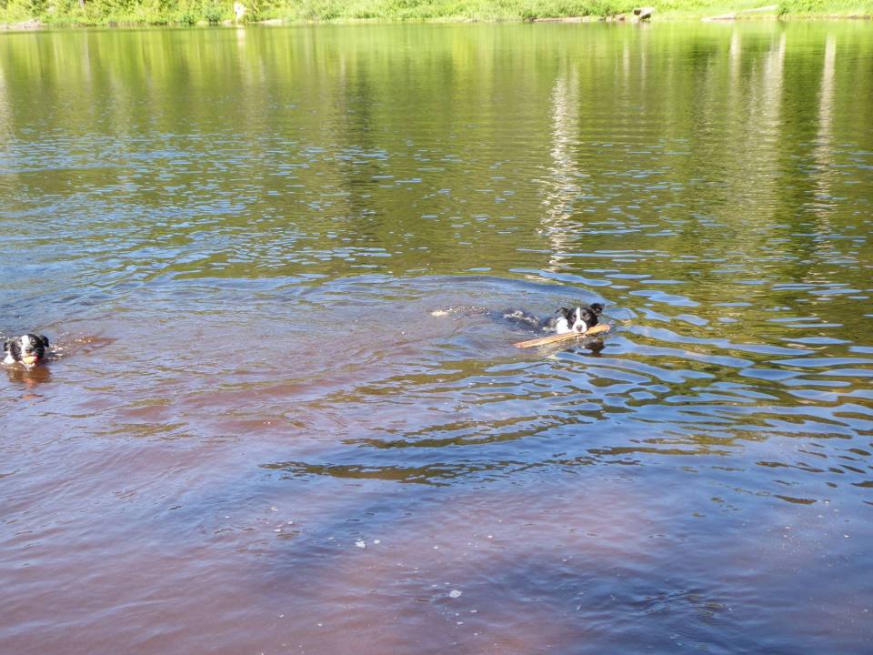 20024229_10209375905094146_7370790426452529726_o