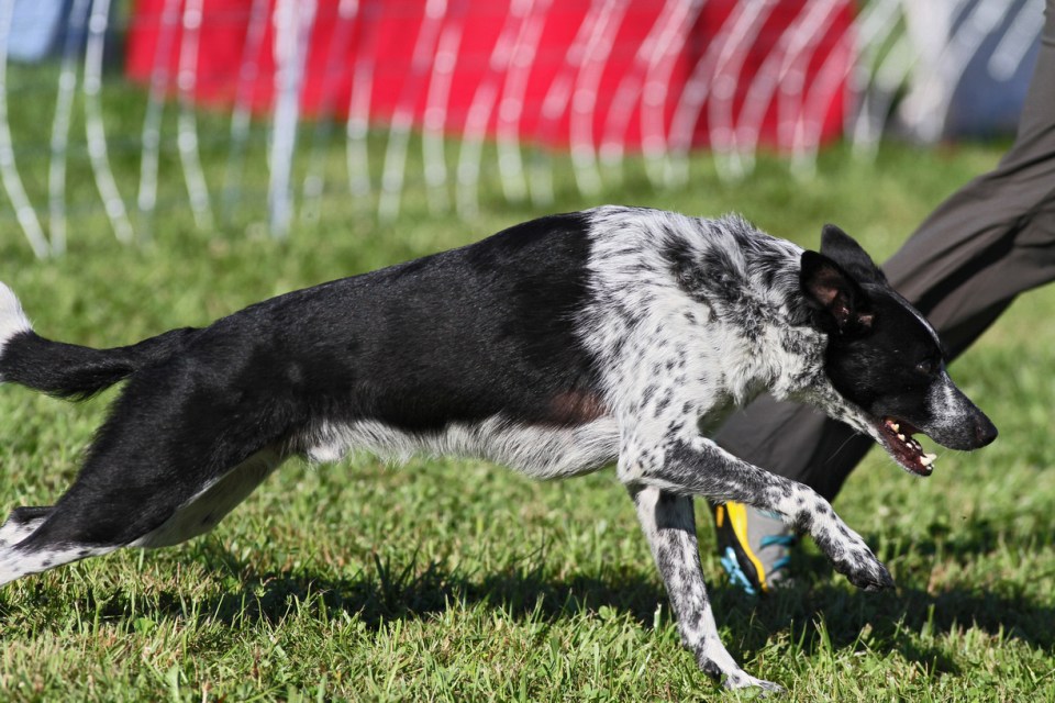 YoukeWhatNADAC072014