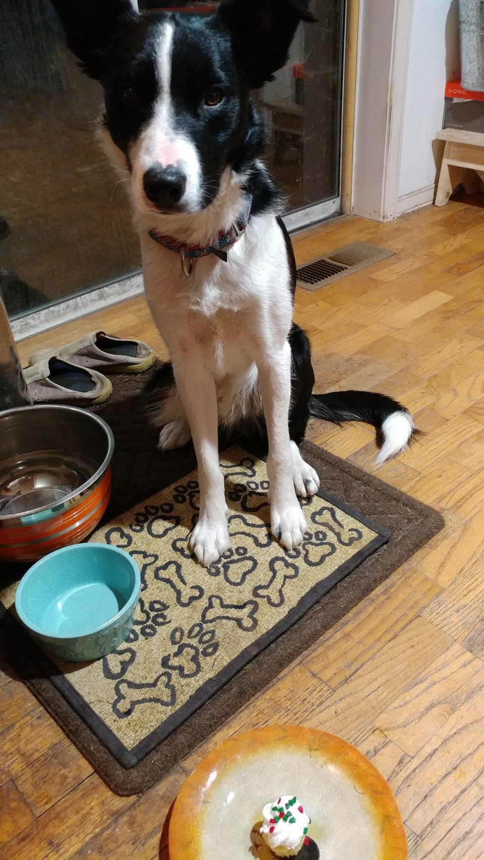 Rhys one year picture picture