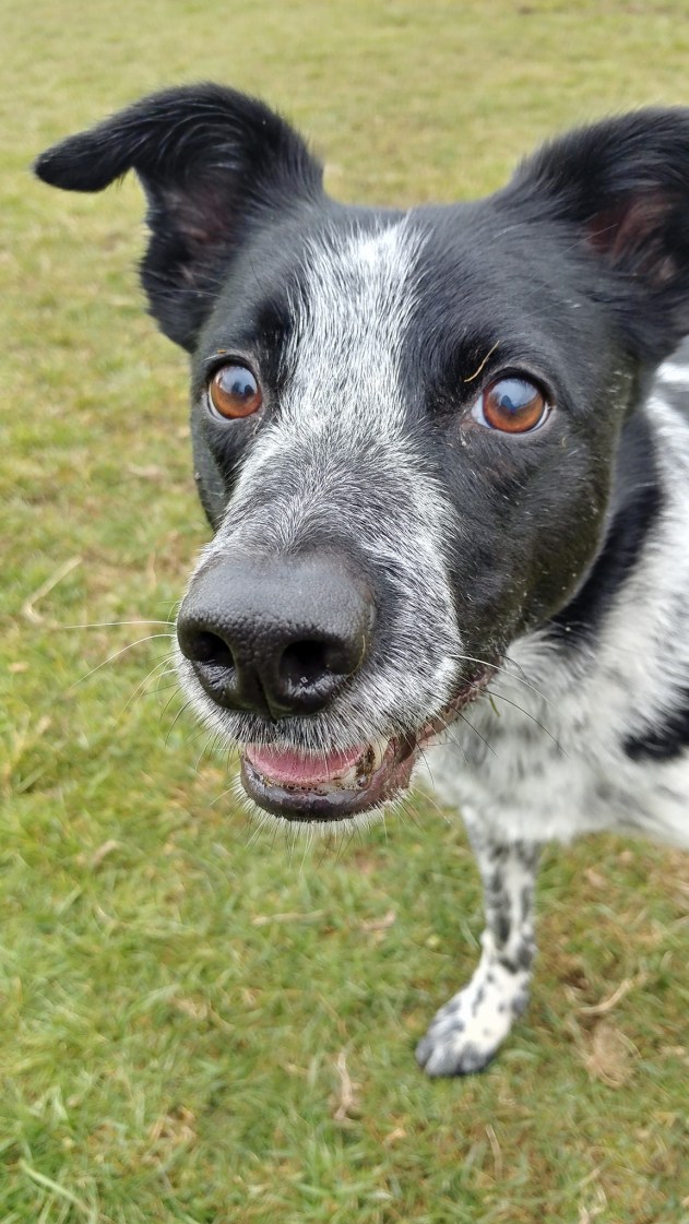 28514711_10211011360059498_7513692505122093520_o (2)