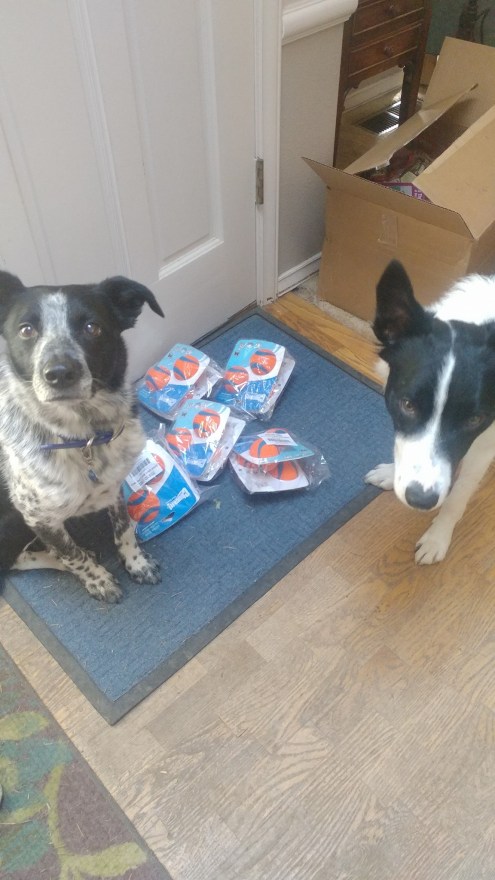 30221936_10211253030781115_3523432303093088256_o (2)