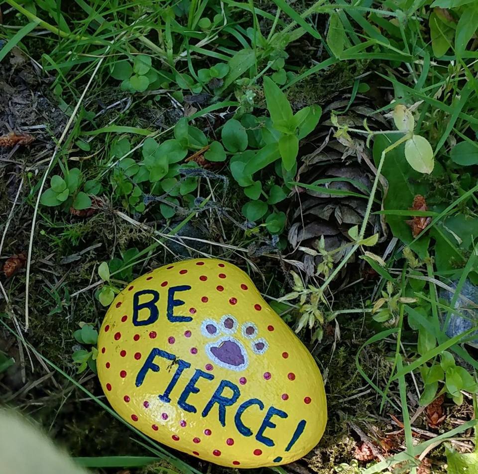 36137059_10211747843111114_3711072578077458432_o (2)