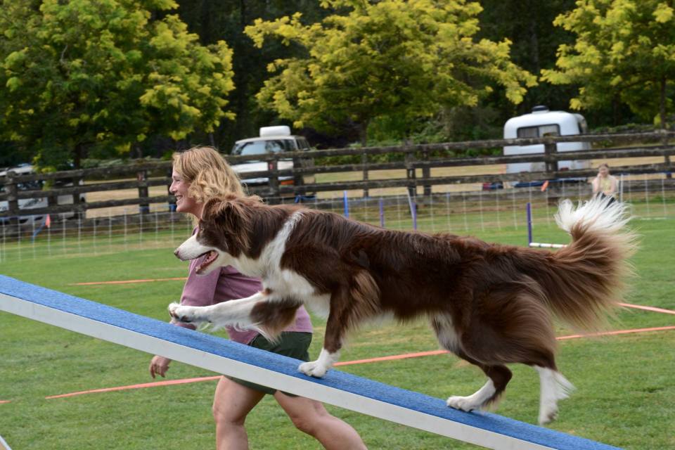 40833784_10212215668126447_8323008301608468480_o (2)