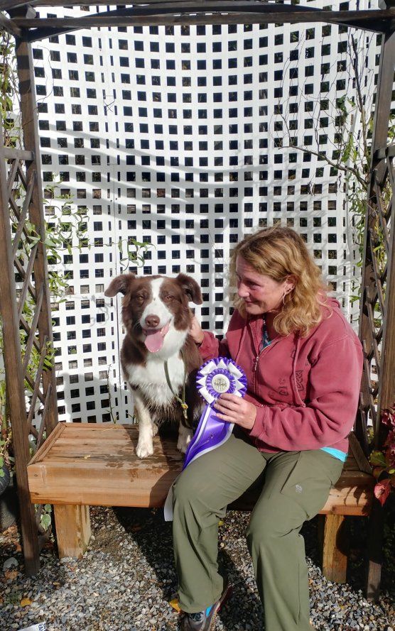 41954977_10212287095792094_1915938443494424576_o (2)