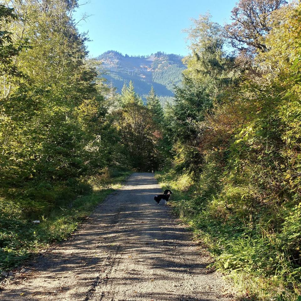 42804517_10212380577769085_1585077712316268544_o (2)