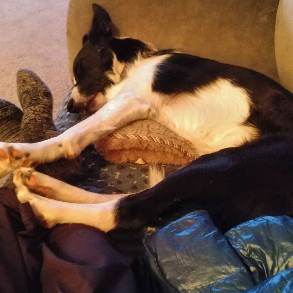 49047620_10213339790548805_1065071891347144704_o (2)