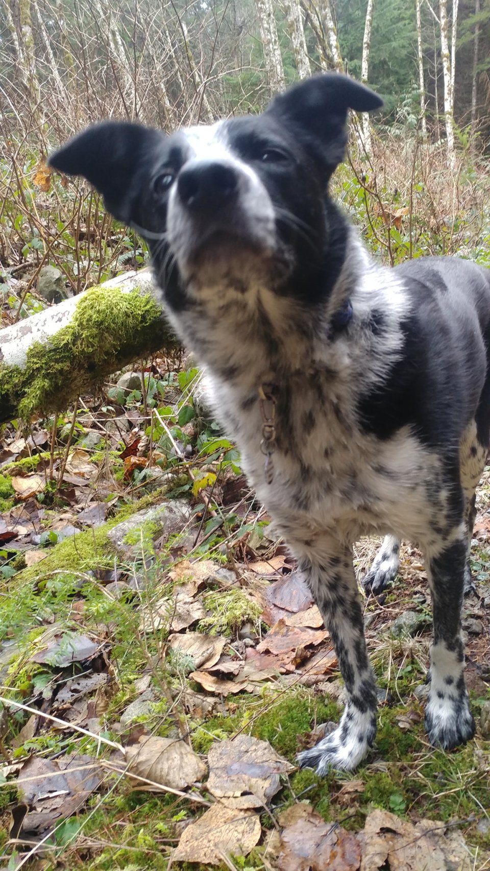 49828853_10213424246340147_481507774237245440_o (2)