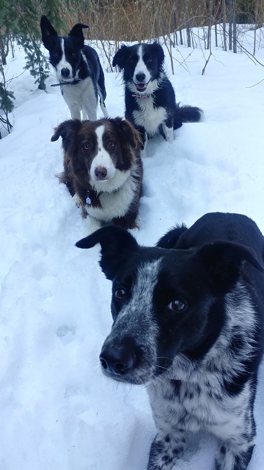 53845600_10213830367772929_6365473125622087680_n