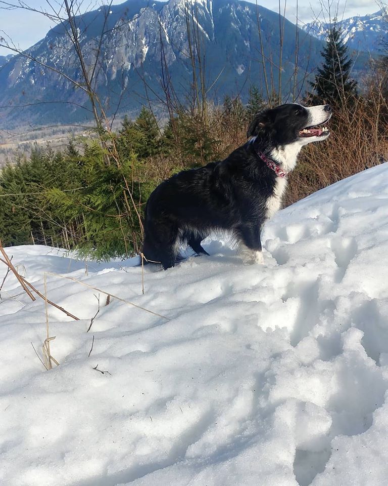 54518512_10213841476730646_4527286131489767424_n