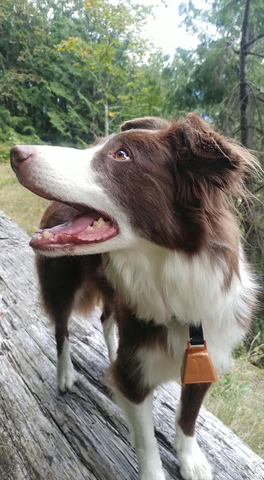 69393974_10214970951406807_3373908754759155712_n