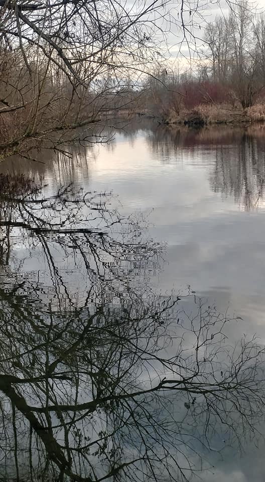 78217267_10215666781642128_286640508107751424_n