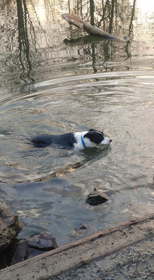 78553775_10215666778802057_3883591011946987520_n