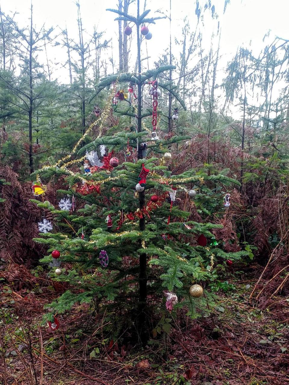 Christmas at Lake Sawyer