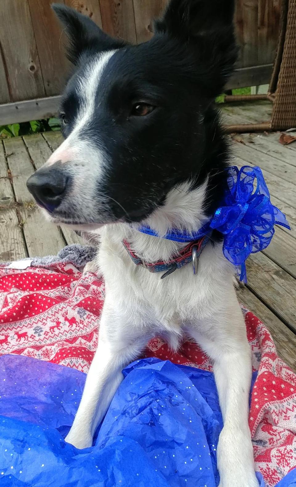 Rhys 2019, third birthday