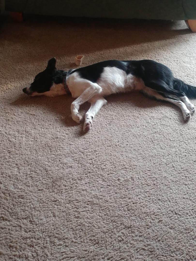 Rhys birthday meal 2019