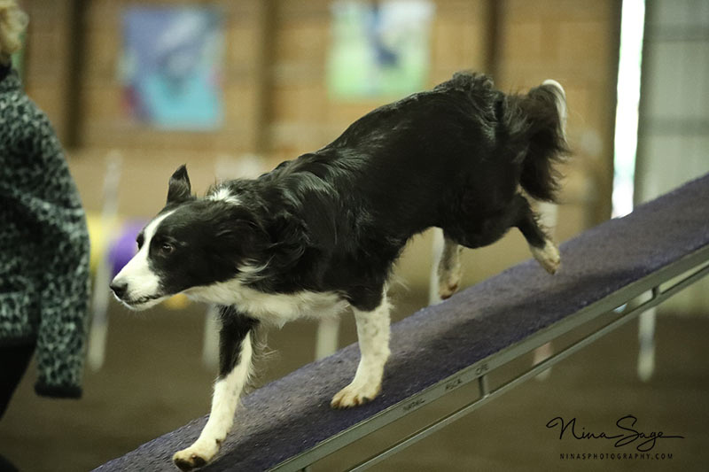 RA2N0715-web-(ZF-3571-02665-1-002)