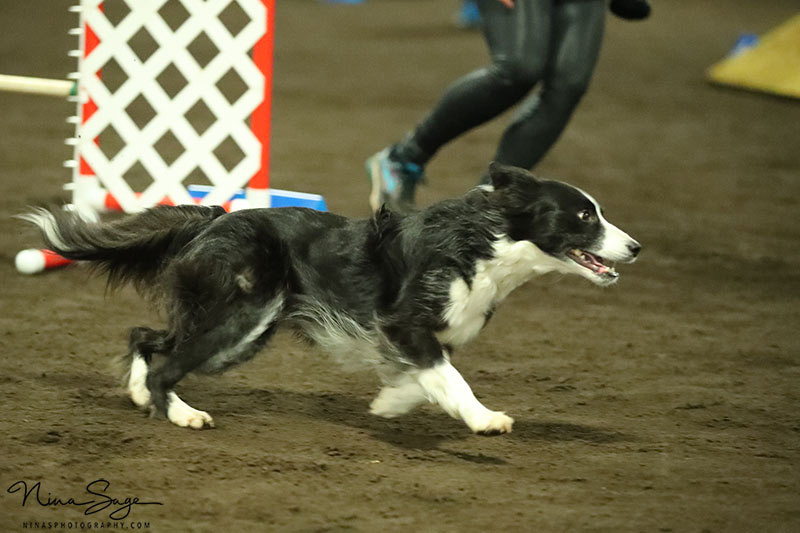 RA3N2270-web-(ZF-3571-02665-1-001)