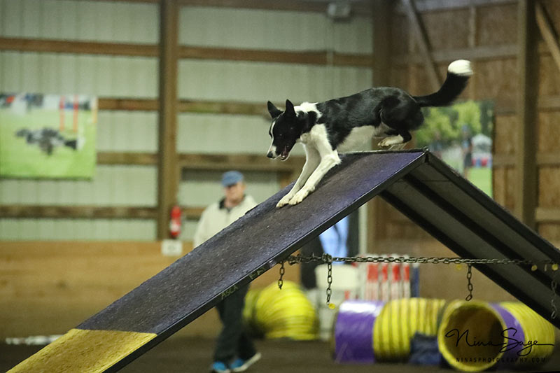 RA3N2601-web-(ZF-3571-02665-1-007)