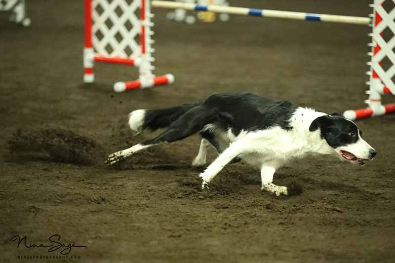 RA3N2608-web-(ZF-3571-02665-1-005)