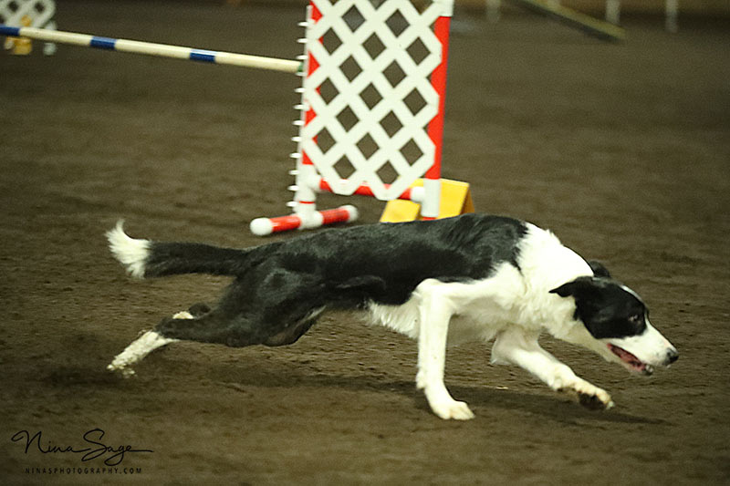 RA3N2609-web-(ZF-3571-02665-1-003)