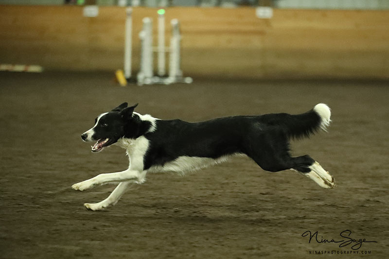 RA3N2610-web-(ZF-3571-02665-1-004)