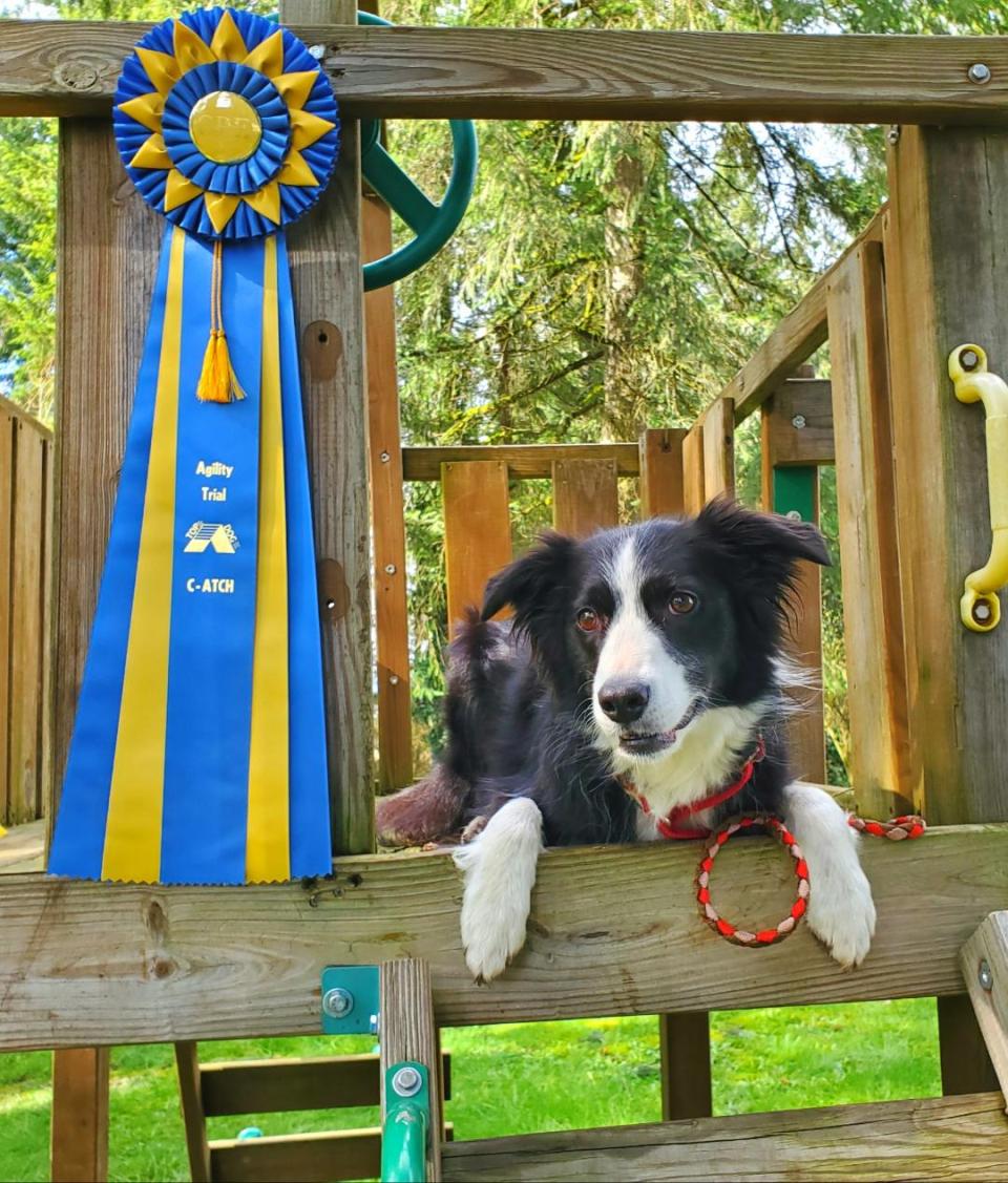 CammBigDayMarch12020TopDogCPE