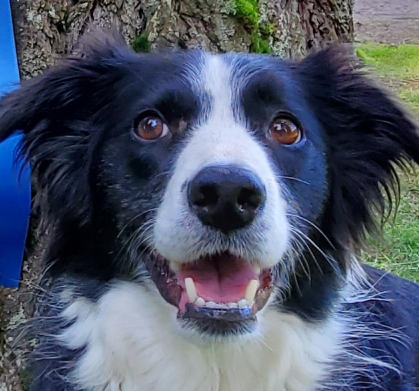 CammBigDayMarch2020 8 yrs old2