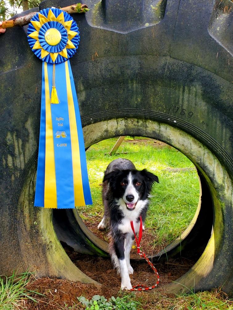 CammBigDayTopDogMarch2020CPE2