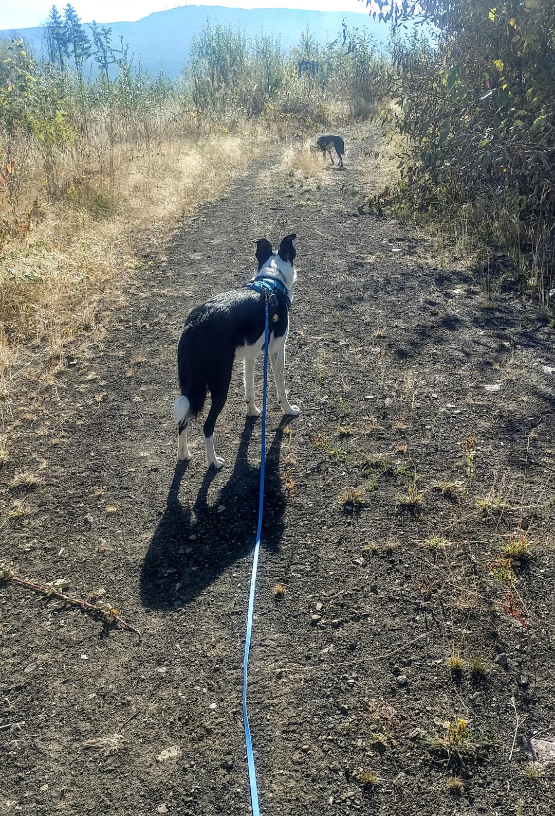 Rhys hike Spot Sept20